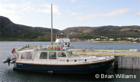 Gypsy Life Nain